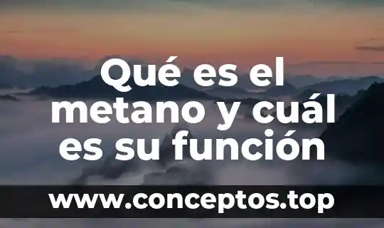 Qué es el metano y cuál es su función