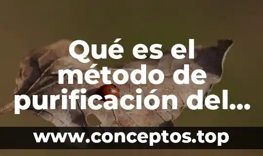 Qué es el método de purificación del agua