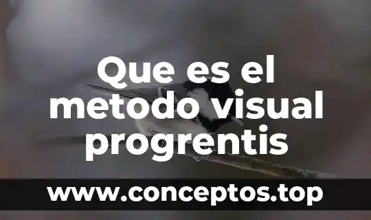 Libro donde enseña que es el método de interpretación teilogico 6 Que es el metodo visual progrentis