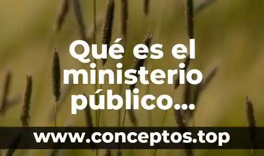 Qué es un nombre público 5 Qué es el ministerio público conciliador
