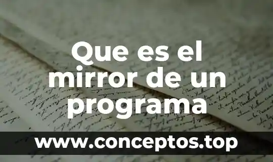 Que es el mirror de un programa