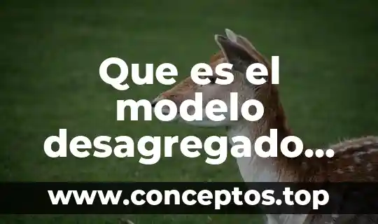 Que es el modelo desagregado turistico