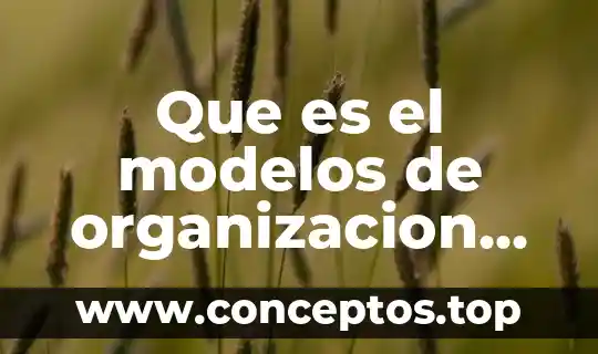Que es el modelos de organizacion cerebral