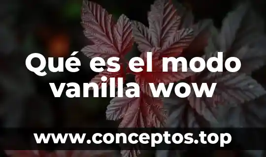Que es cantinflear significado 5 Qué es el modo vanilla wow