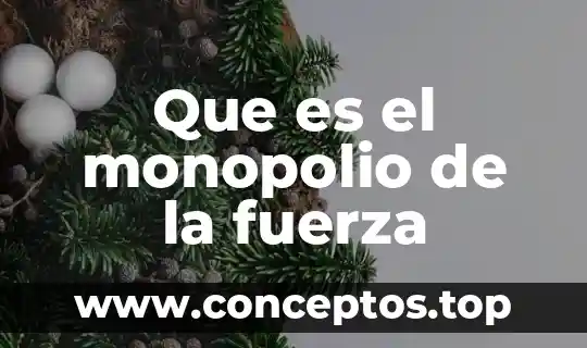 Que es el monopolio de la fuerza