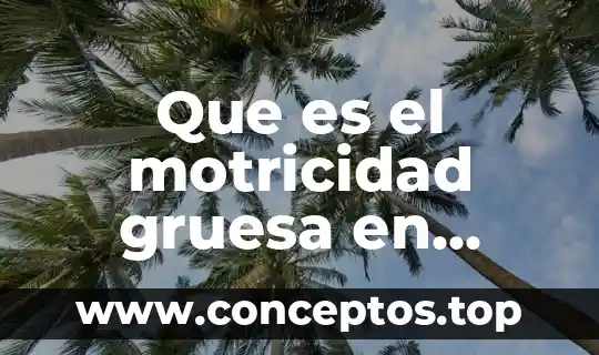 Qué es la motricidad y sus tipos educación física 5 Que es el motricidad gruesa en educacion fisica