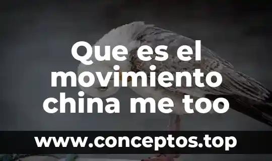 Que es el movimiento china me too