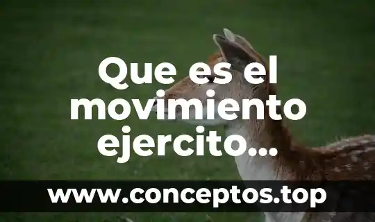 Que es el movimiento ejercito zapatista de liberacion nacional