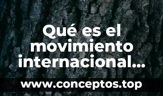 Catalogo de punta y cruz que es 2do de secundaria 8 Qué es el movimiento internacional de la cruz roja