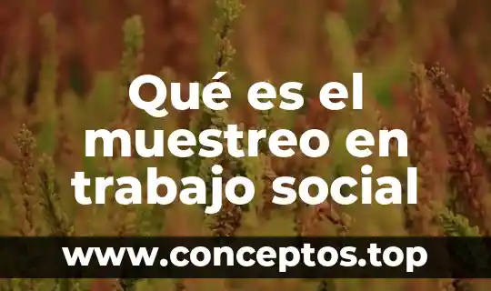 Que es el color a nivel social 7 Qué es el muestreo en trabajo social