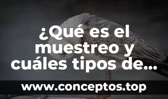 ¿Qué es el muestreo y cuáles tipos de muestreo existen?