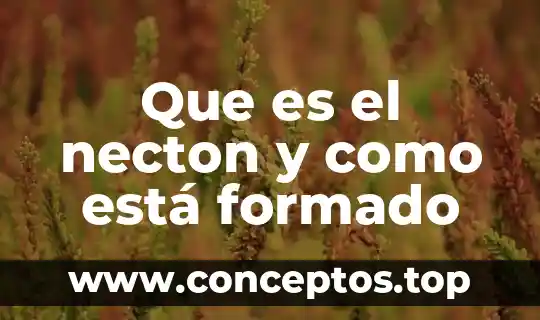 Qué está formado el sistema digestivo 6 Que es el necton y como está formado