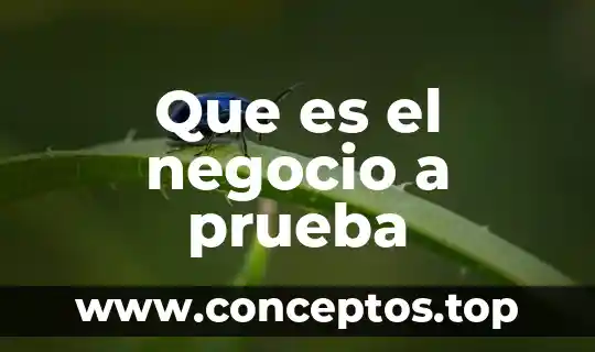 Que es la prueba de screening en el embarazo 4 Que es el negocio a prueba