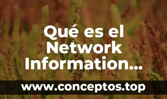 Qué es el Network Information Center NEIC