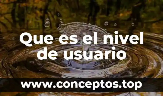 Que es el nivel de usuario