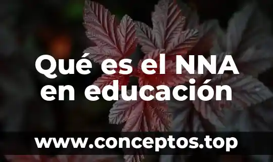 Que es el paradigma positivista en educacion 3 Qué es el NNA en educación