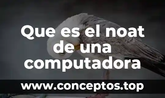 Que es lo que significa entrada-proceso-salida en una computadora 5 Que es el noat de una computadora