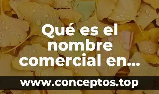 Que es la hipoteca en un contrato de prestamo mercantil 5 Qué es el nombre comercial en derecho mercantil