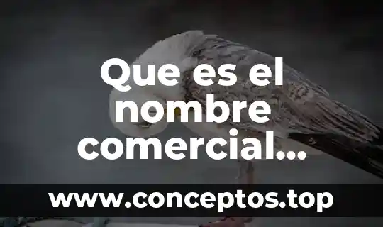 Qué es el ley de lenz 6 Que es el nombre comercial segun la ley
