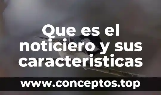 Que es el noticiero y sus caracteristicas