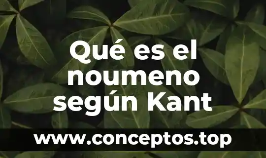Qué es el noumeno según Kant
