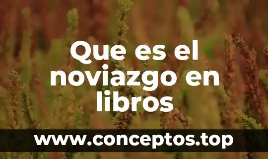 Que es el noviazgo en libros