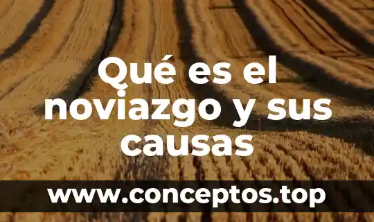Escases de agua que es causas y consecuencias 8 Qué es el noviazgo y sus causas
