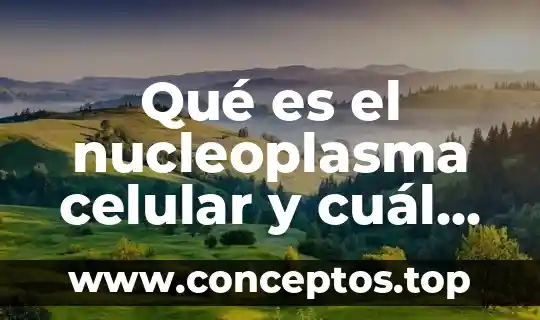 Qué es el nucleoplasma celular y cuál es su función