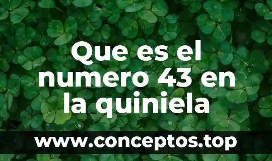 Qué es extensión en número de Oaxaca Oaxaca 8 Que es el numero 43 en la quiniela