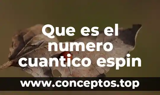 Que es el numero cuantico espin