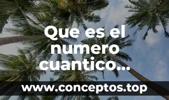Que es el numero cuantico magnetico y como se representa