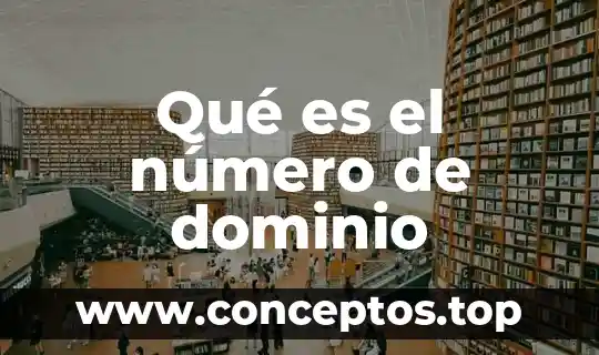 Qué es el número faltante 6 Qué es el número de dominio