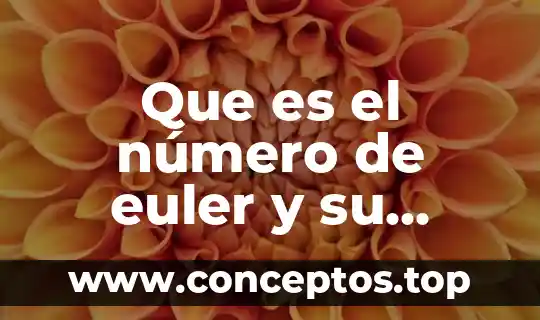 Qué es un número capicúa de seis cifras 6 Que es el número de euler y su utilidad