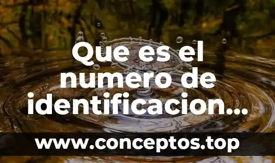 Que es el numero de identificacion fiscal argentina