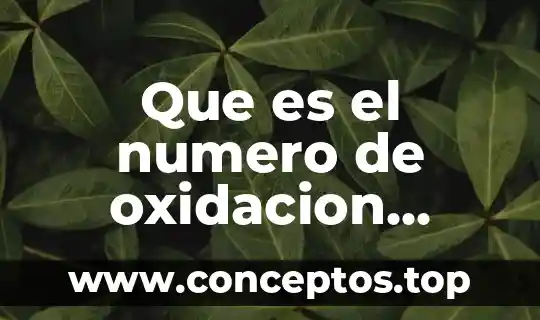 Qué es el número de oxidación de valencia 8 Que es el numero de oxidacion brainly