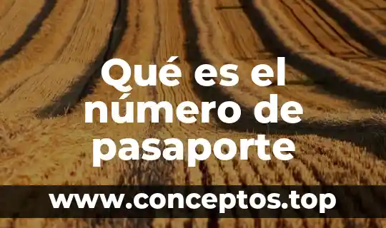 Qué es el número de pasaporte