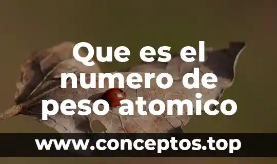 Que es el numero de peso atomico