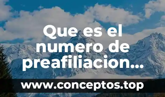 Qué es un número capicúa de seis cifras 3 Que es el numero de preafiliacion del imss