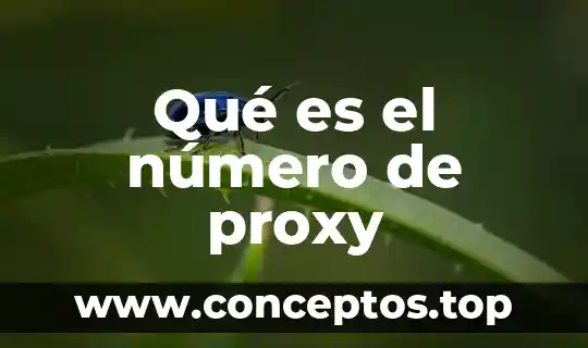 Qué es el número de proxy