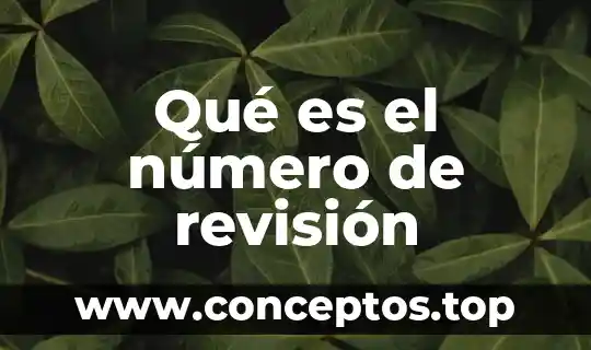 Qué es el número de revisión
