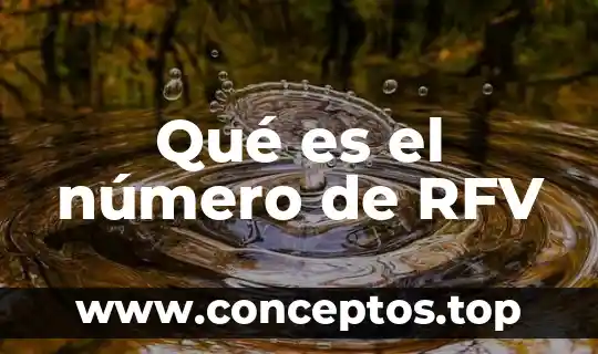 Qué es el número de RFV