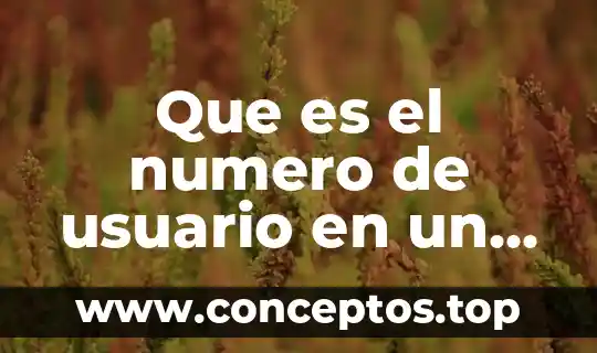 Que es el numero de usuario en un banco