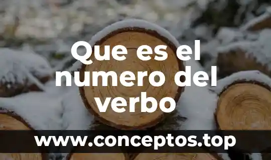 Que es el numero del verbo