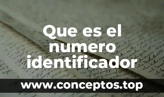 Que es el numero identificador