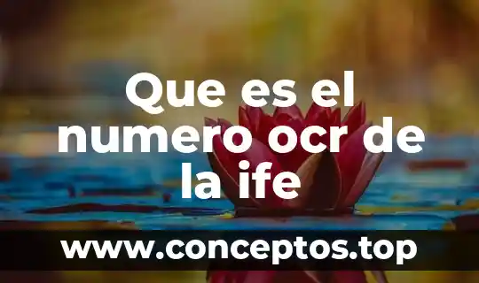 Número de contacto que es 3 Que es el numero ocr de la ife