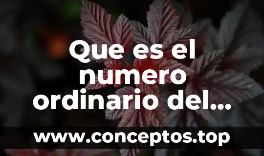 Qué es un número capicúa de seis cifras 8 Que es el numero ordinario del imss