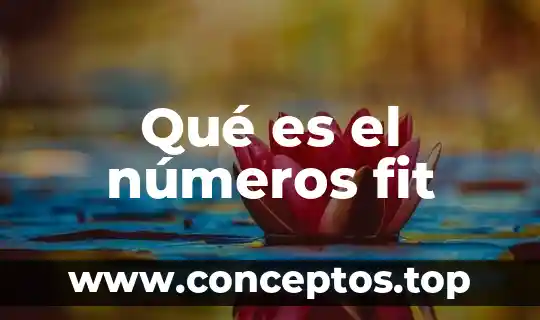 Qué es el números fit
