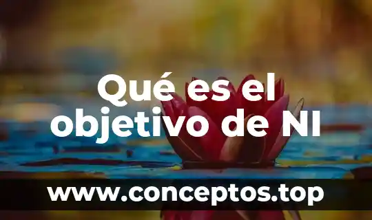 Qué es el objetivo de NI
