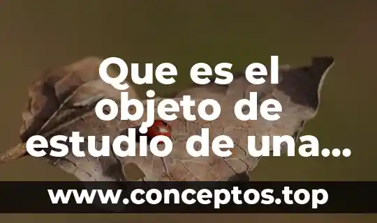 Que es el objeto de estudio de una carrera