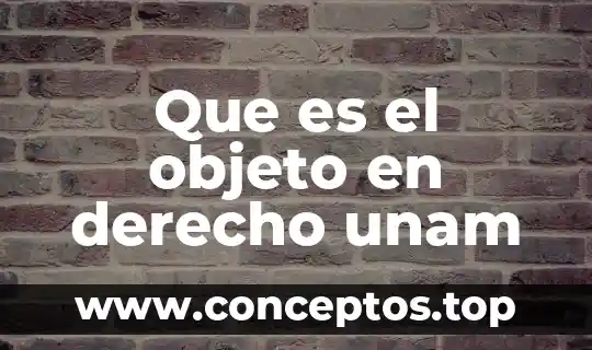 Que es el objeto en derecho unam